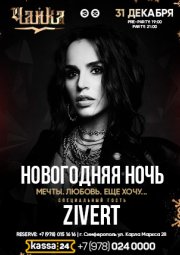 НОВОГОДНЯЯ НОЧЬ (6000 руб депозит)